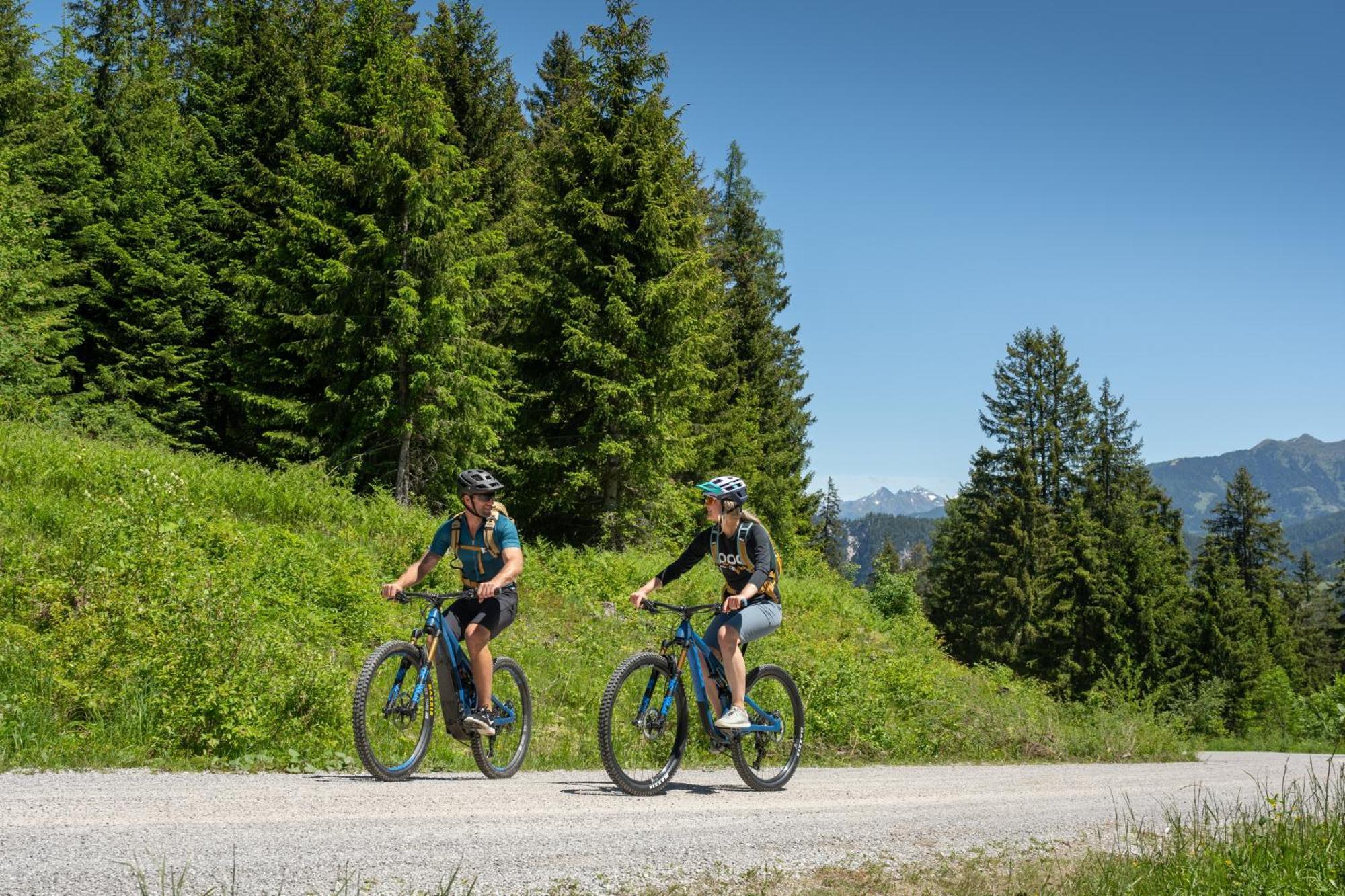 Natur & Familienhotel Der Stieglerhof Radstadt Eksteriør bilde